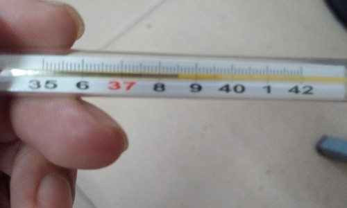 怎么减少脂肪最快最有效-如何消减脂肪比例网 - 网站提供怎么减脂肪率最快最有效的方法小常识、如何消减脂肪比例的方法